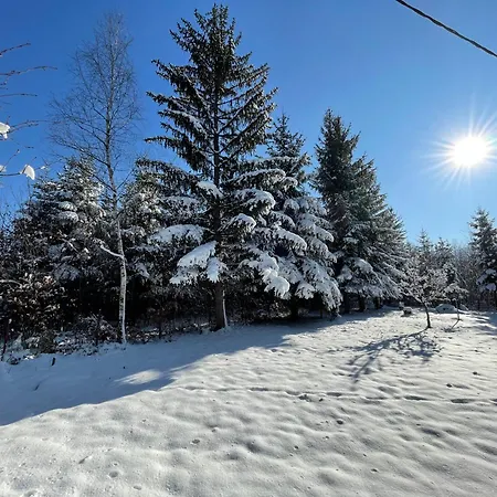 Stanjevac, * Saraievo
